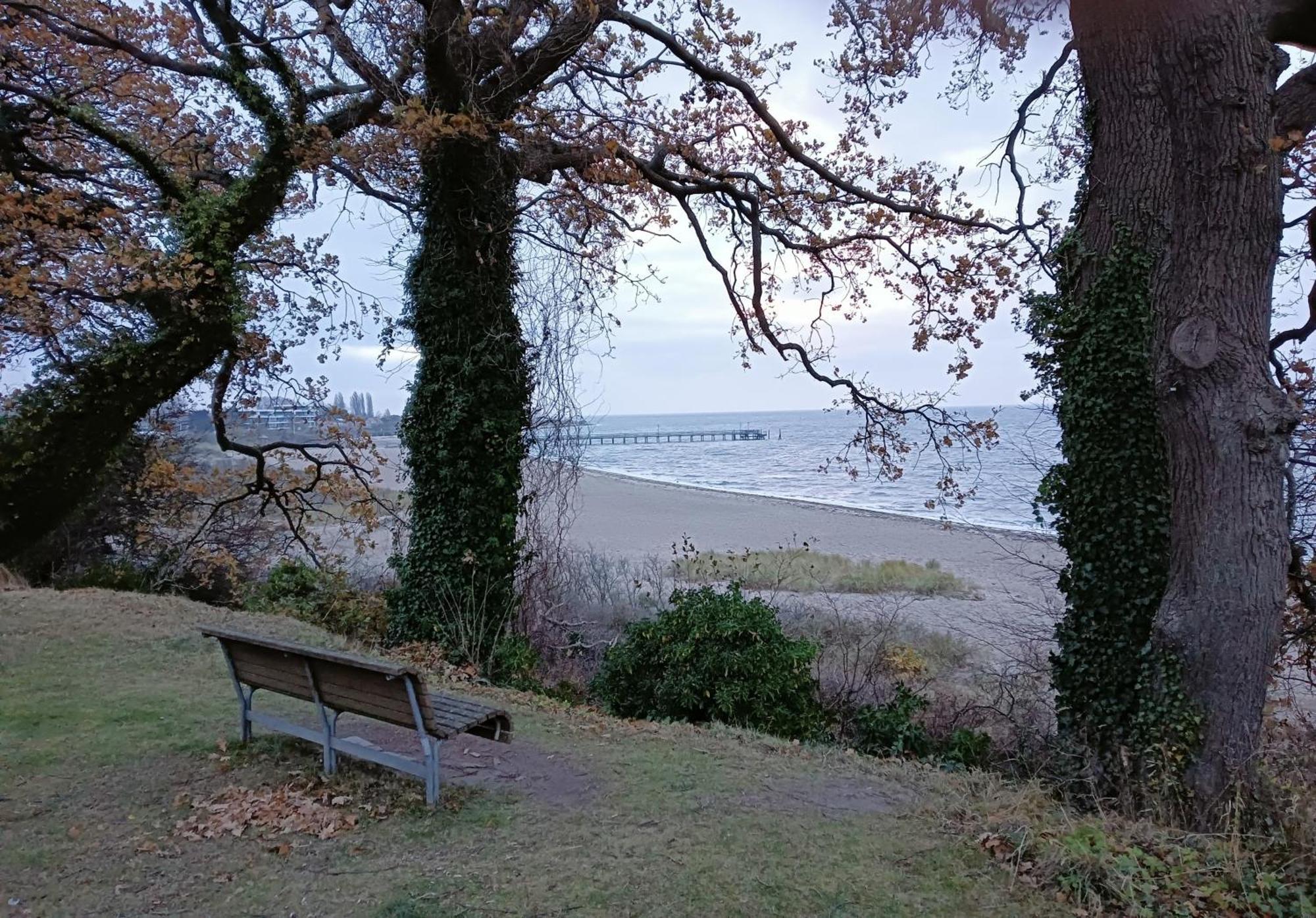 Fewo Muschelgetuschel Im Prinz Hamlet - Direkte Strandlage Пельцерхакен Экстерьер фото